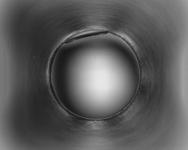 X0000090700902200707201155