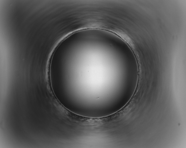 X0000090700912200707201155