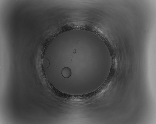 X0000090700913200707201154
