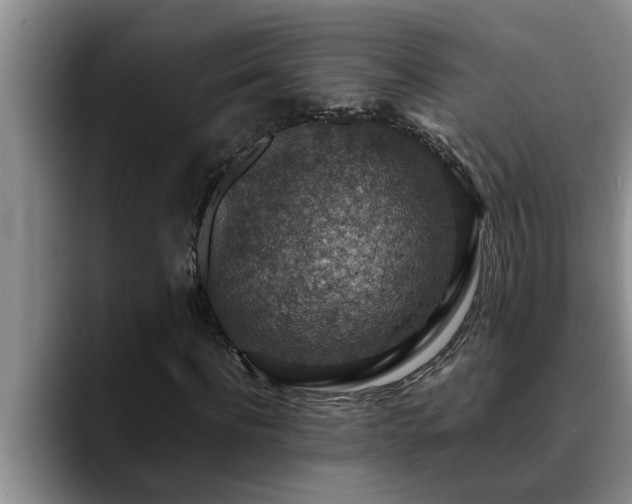 X0000090700916200707201154