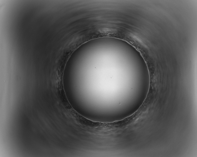 X0000090700917200707201154