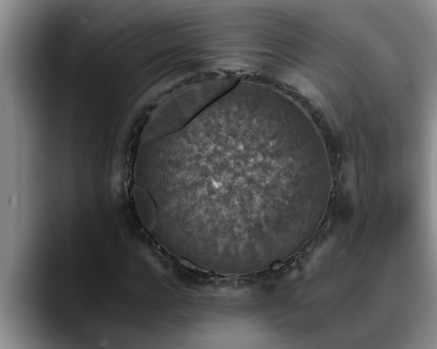 X0000090700920200707201154