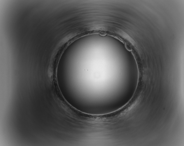 X0000090700922200707201155