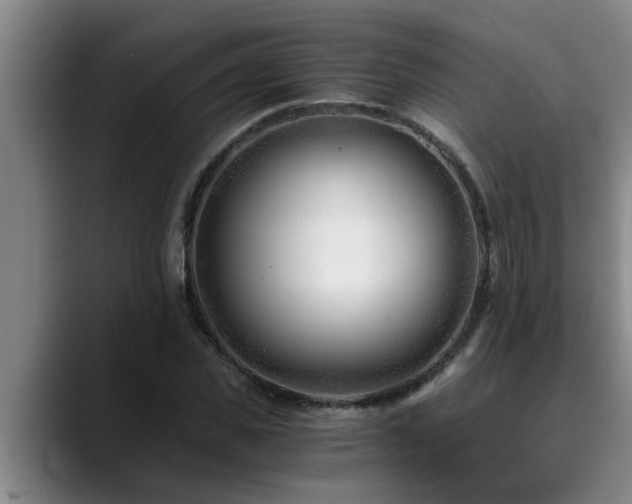 X0000090700925200707201155