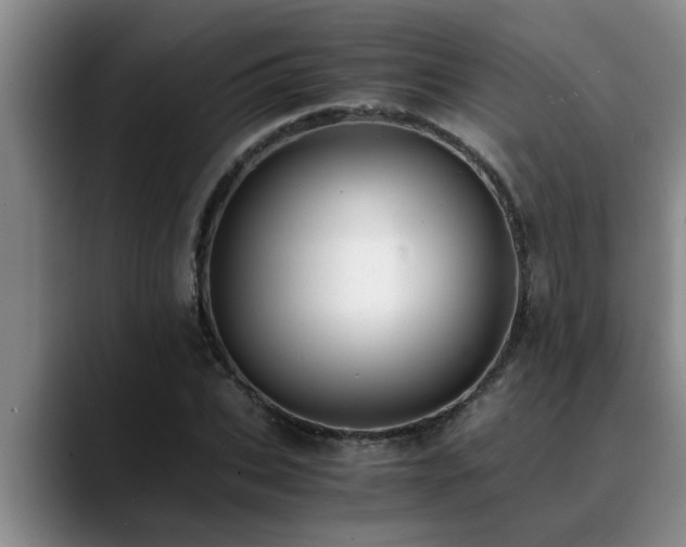 X0000090700927200707201155