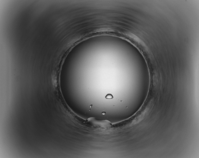 X0000090700929200707201155