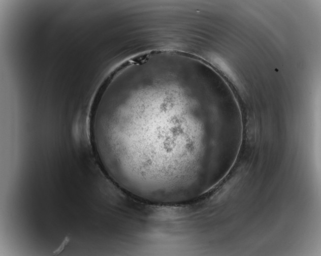 X0000090700932200707201155