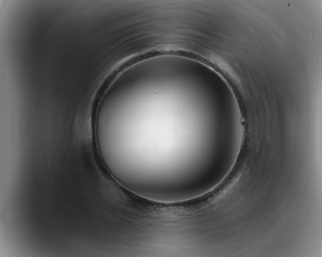 X0000090700934200707201155