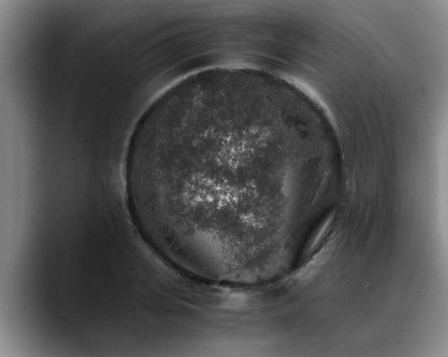X0000090700935200707201155
