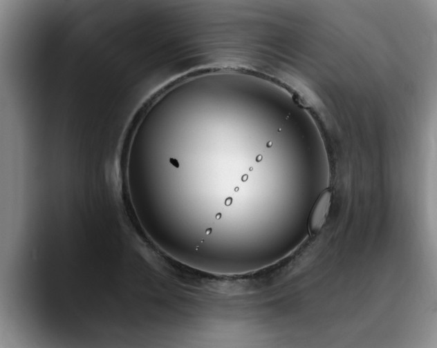 X0000090700936200707201155