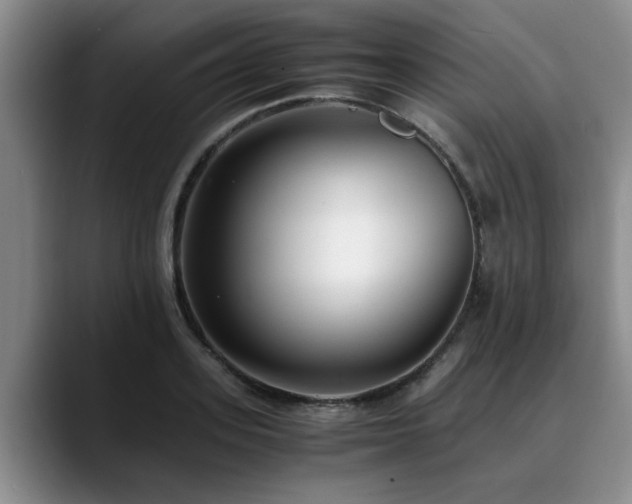 X0000090700939200707201155