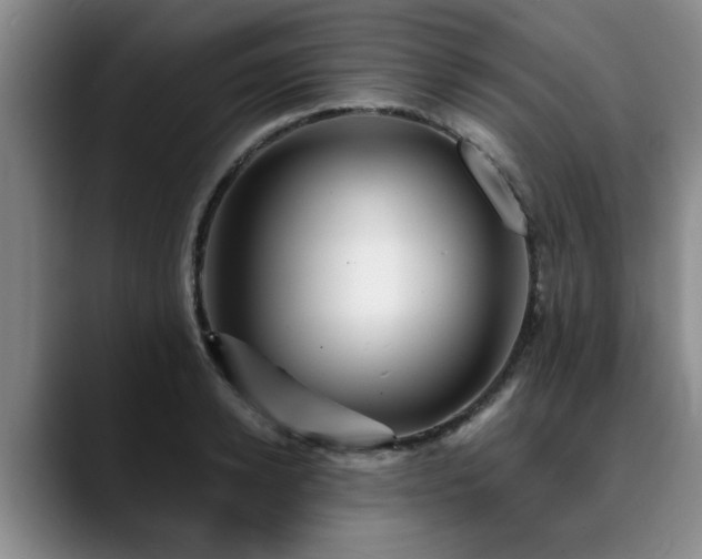 X0000090700942200707201155