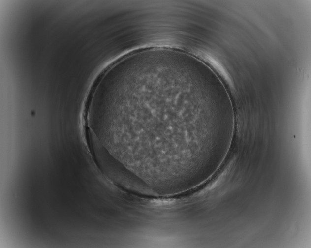X0000090700944200707201155