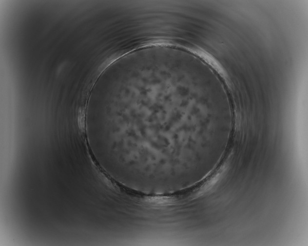 X0000090700953200707201155