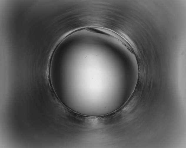 X0000090700956200707201155