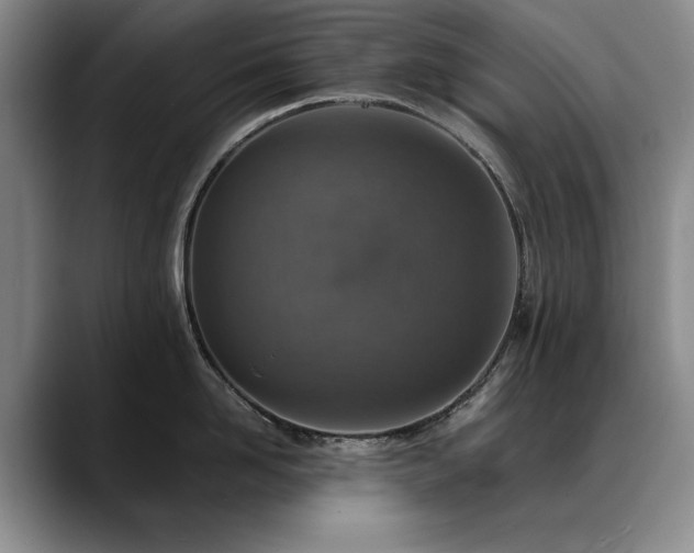 X0000090700958200707201155