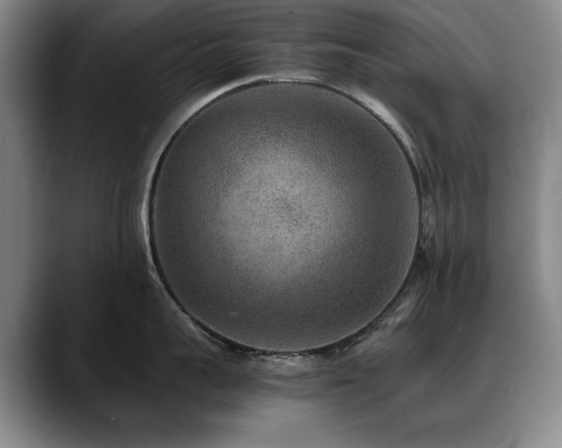 X0000090700959200707201155