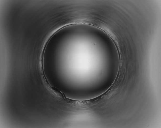 X0000090700960200707201155