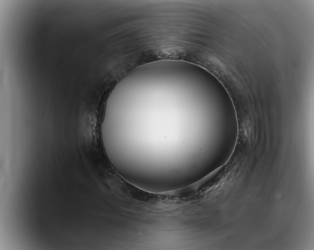 X0000090700964200707201154