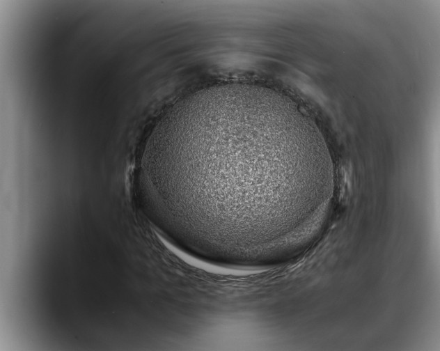 X0000090700965200707201154