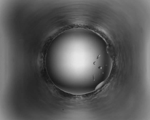 X0000090700968200707201154
