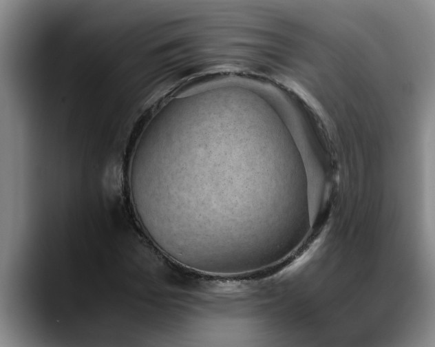 X0000090700969200707201154