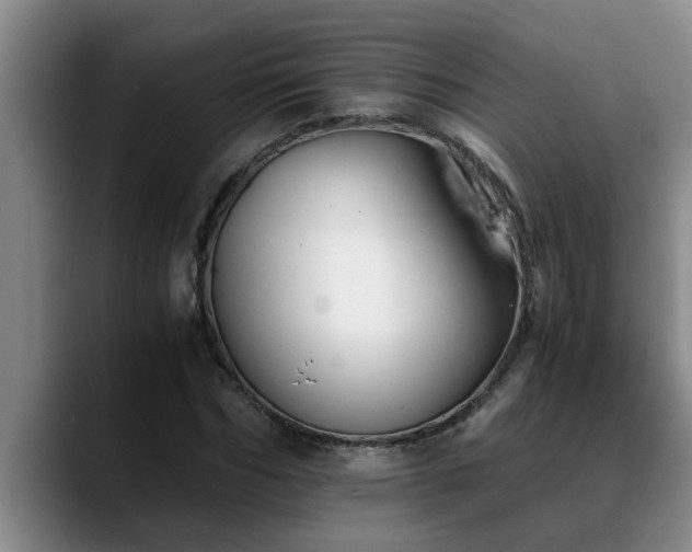 X0000090700970200707201154