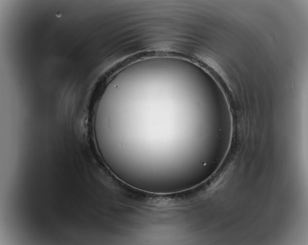 X0000090700971200707201154
