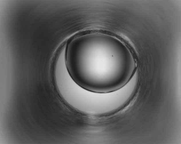 X0000090700973200707201154