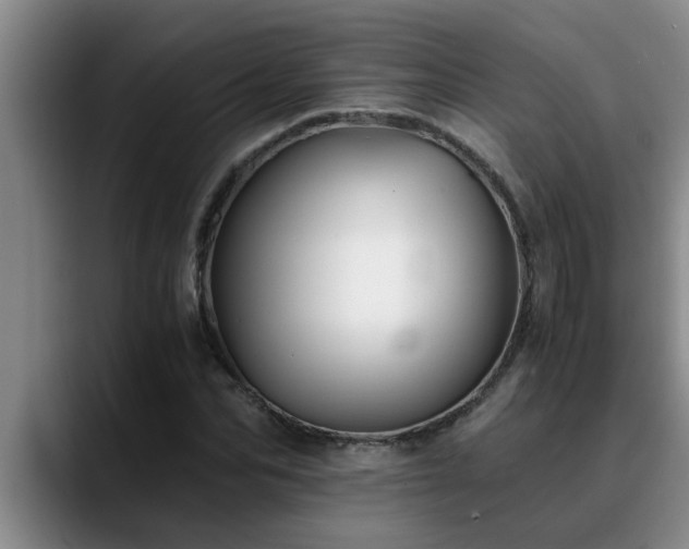 X0000090700974200707201154