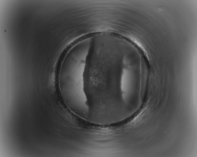 X0000090700975200707201154