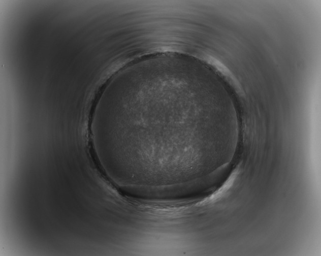 X0000090700977200707201154