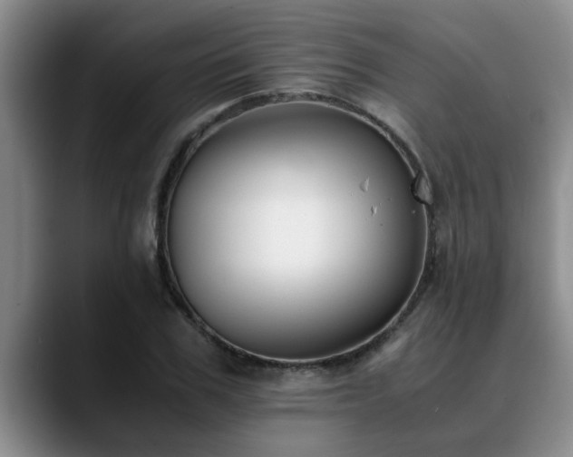 X0000090700979200707201154