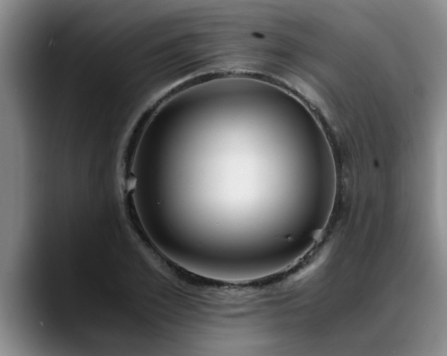 X0000090700981200707201154