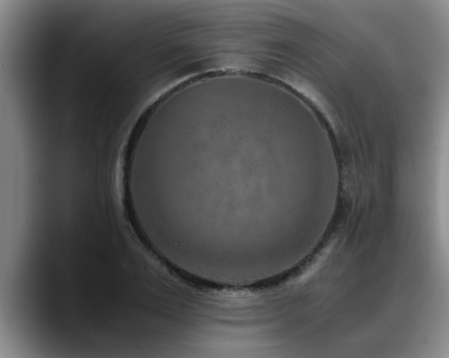 X0000090700983200707201154