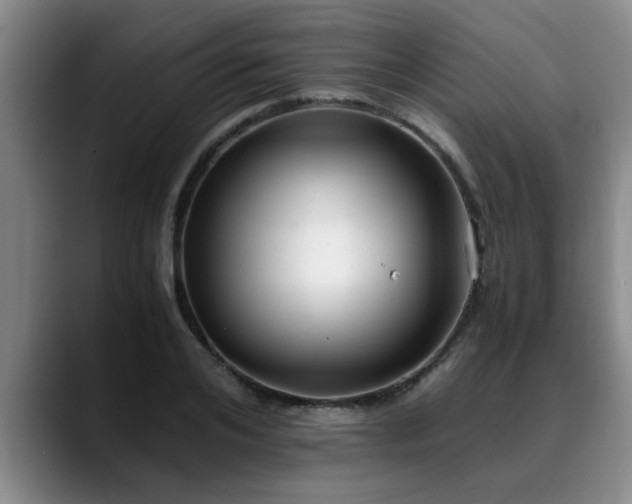 X0000090700984200707201154