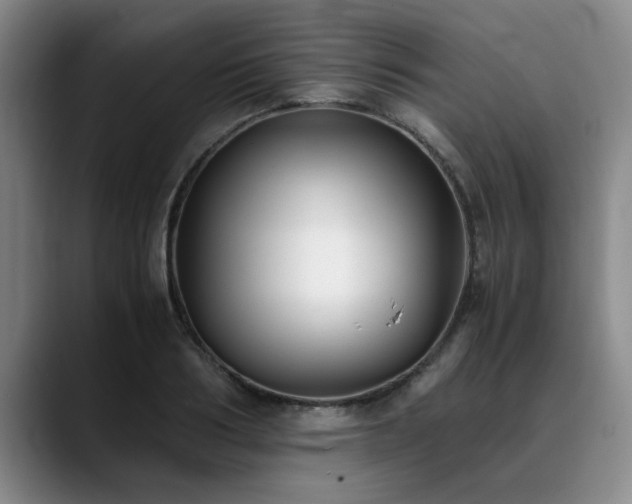 X0000090700986200707201154