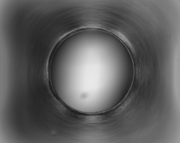 X0000090700988200707201154