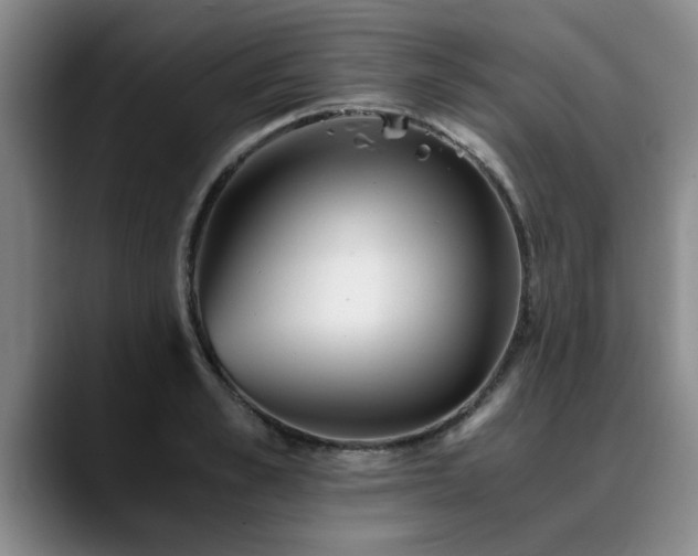 X0000090700989200707201154