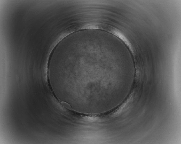 X0000090700994200707201154