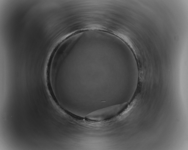 X0000090700995200707201154