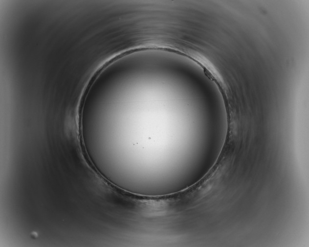 X0000090700996200707201154