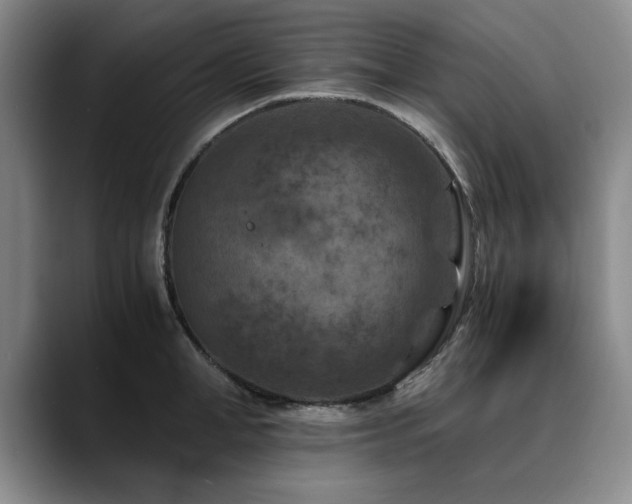 X0000090700998200707201154