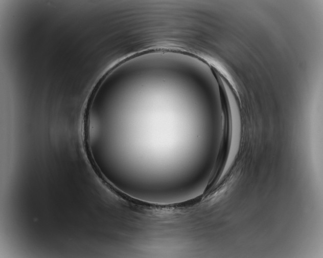 X0000090700999200707201154