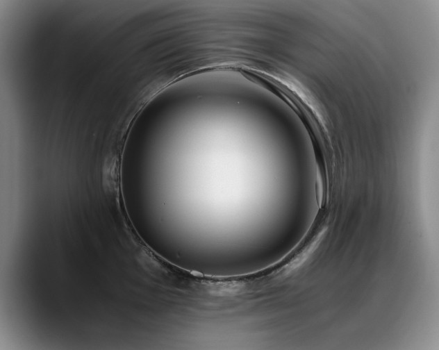 X0000090701001200707201154