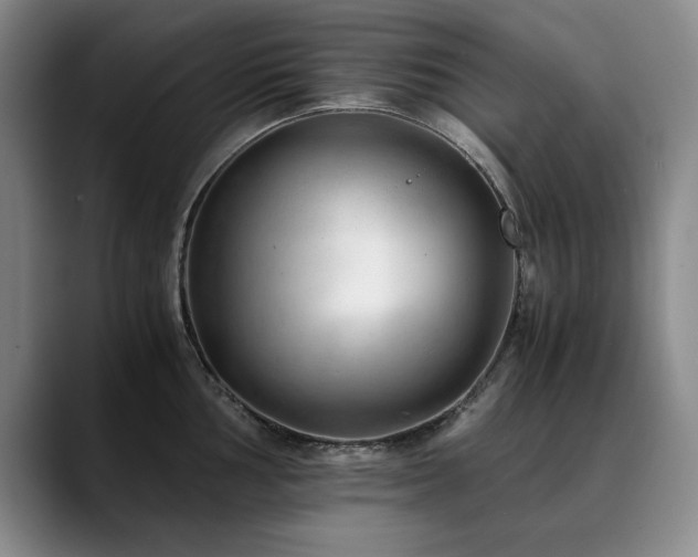 X0000090701002200707201154