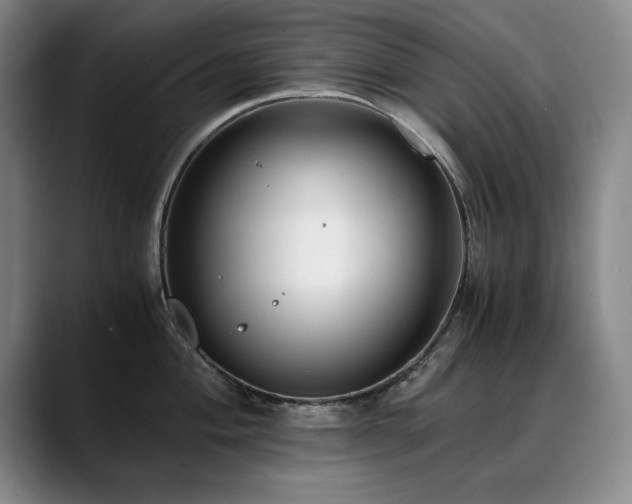 X0000090701004200707201154