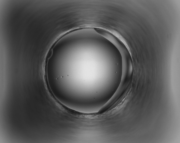 X0000090701005200707201154
