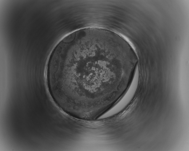 X0000090701007200707201154