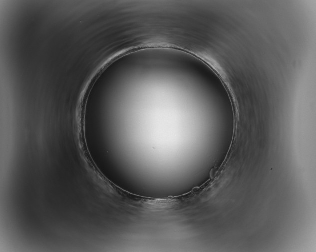 X0000090701008200707201154